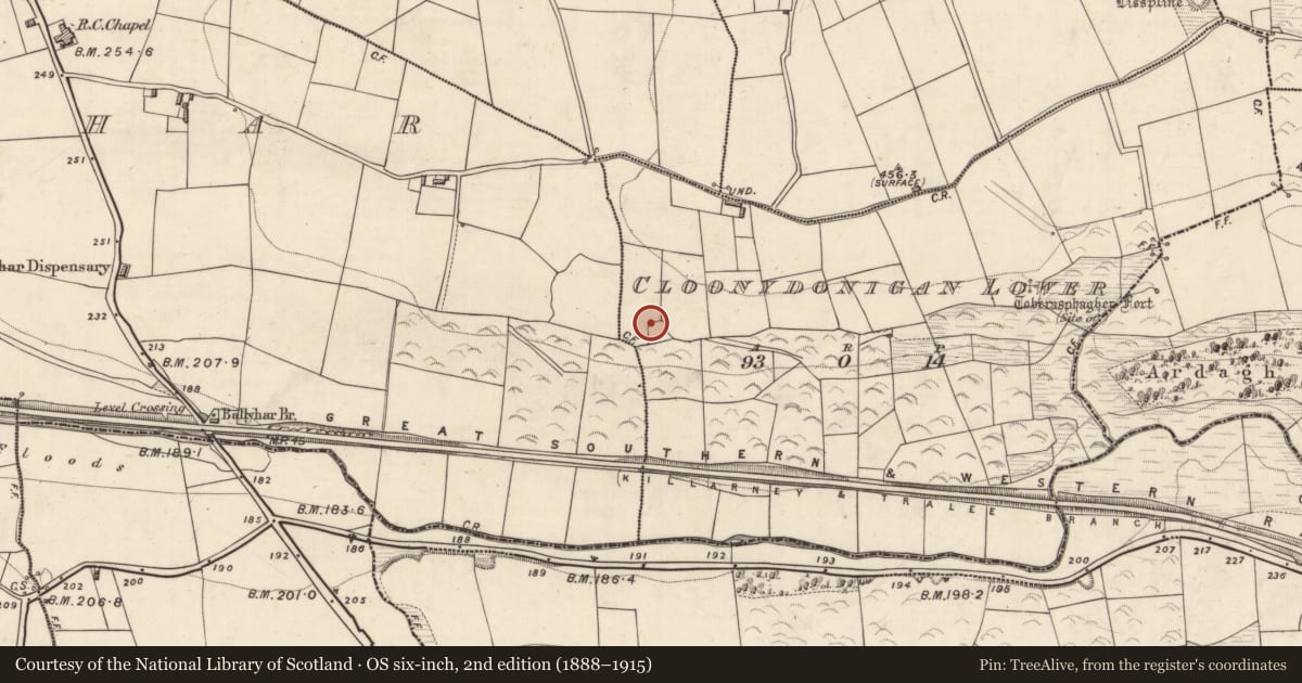 Ordnance Survey six-inch map, 2nd edition (1888–1915) covering the location of Souterrain, Cloonydonigan Lower, County Kerry, with a pin at the register's coordinates