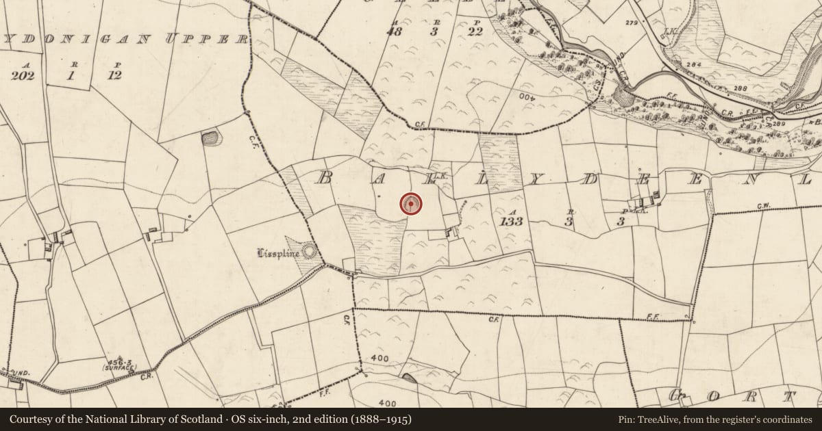 Ordnance Survey six-inch map, 2nd edition (1888–1915) covering the location of Ringfort - rath, Ballydeenlea, County Kerry, with a pin at the register's coordinates