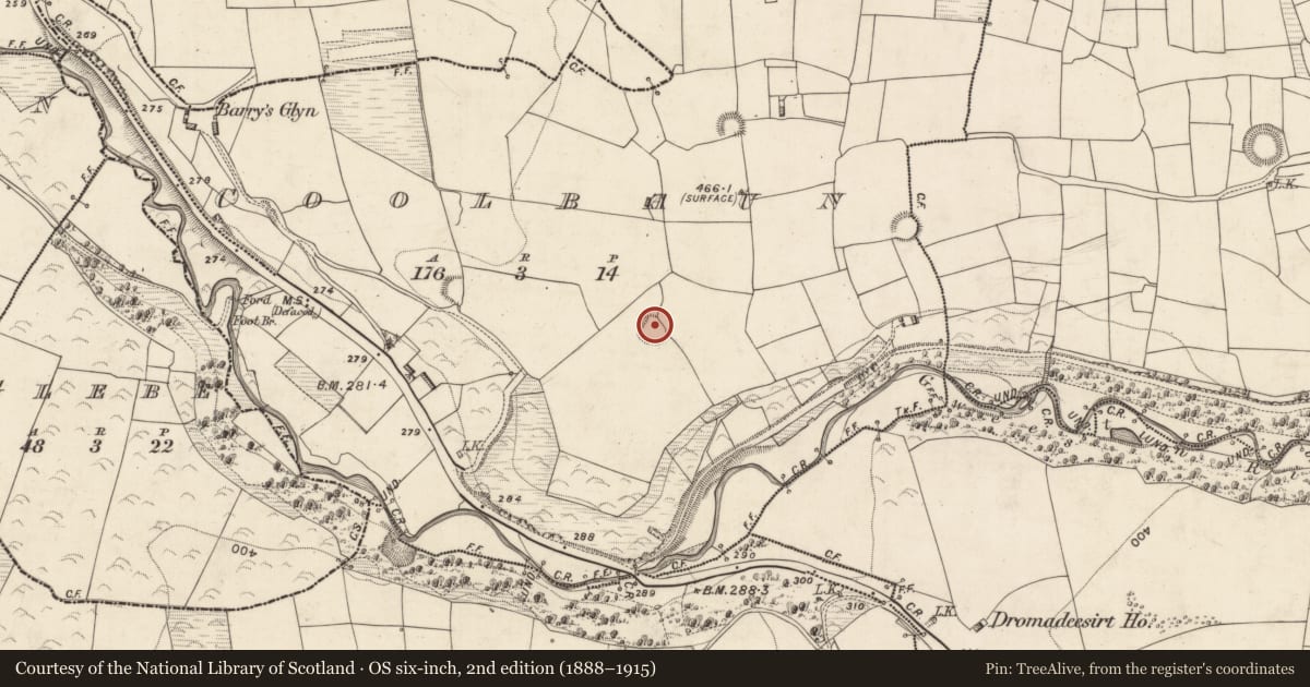 Ordnance Survey six-inch map, 2nd edition (1888–1915) covering the location of Ringfort - rath, Coolbaun (Magunihy By., Kilcummin Par.), County Kerry, with a pin at the register's coordinates