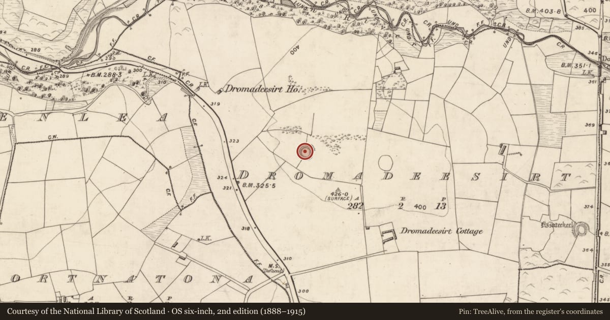 Ordnance Survey six-inch map, 2nd edition (1888–1915) covering the location of Ringfort - rath, Dromadeesirt, County Kerry, with a pin at the register's coordinates