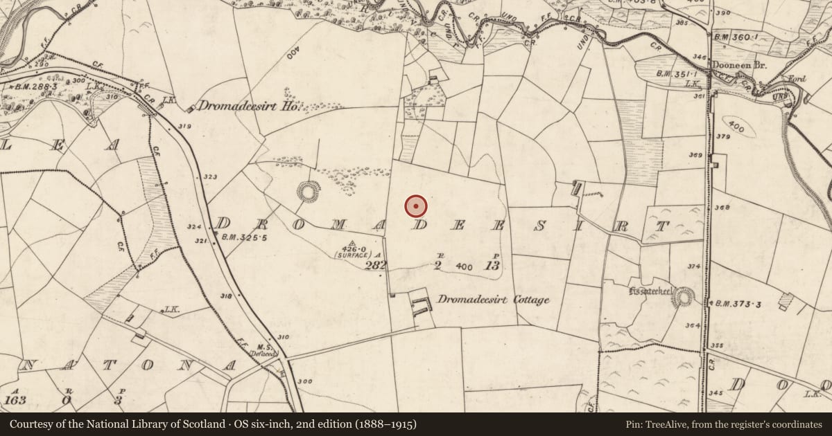 Ordnance Survey six-inch map, 2nd edition (1888–1915) covering the location of Ringfort - rath, Dromadeesirt, County Kerry, with a pin at the register's coordinates