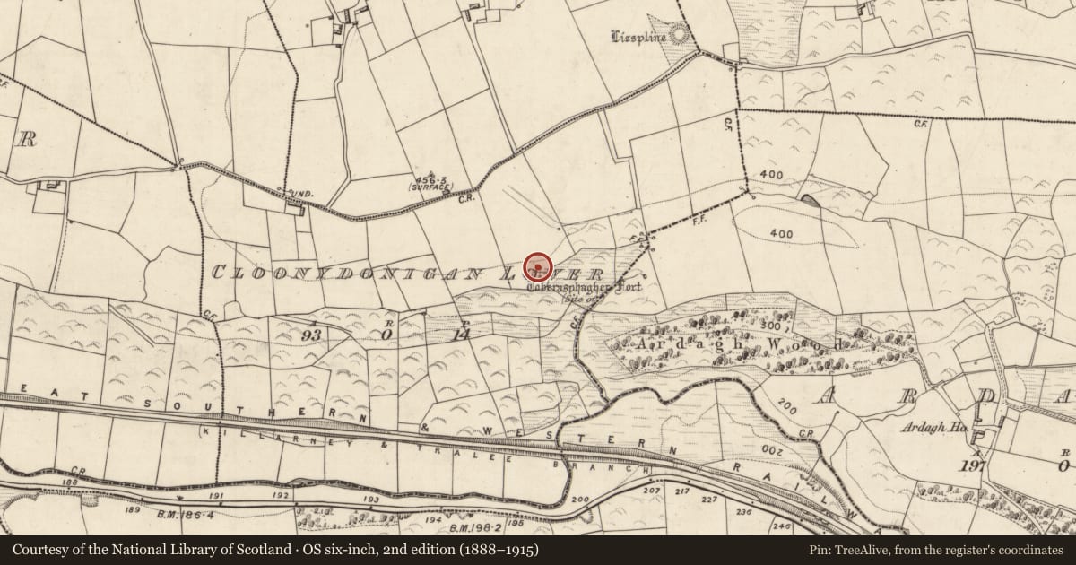 Ordnance Survey six-inch map, 2nd edition (1888–1915) covering the location of Ringfort - rath, Cloonydonigan Lower, County Kerry, with a pin at the register's coordinates
