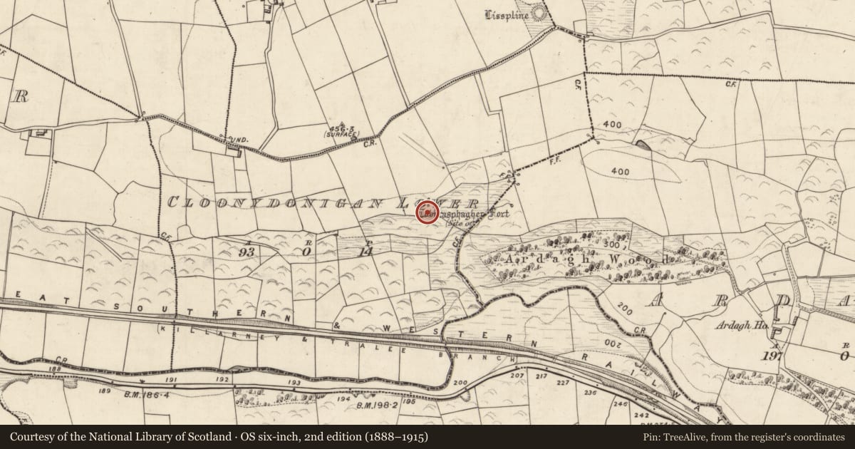 Ordnance Survey six-inch map, 2nd edition (1888–1915) covering the location of Souterrain, Cloonydonigan Lower, County Kerry, with a pin at the register's coordinates