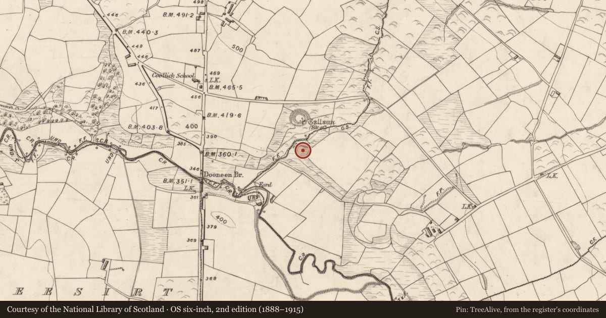 Ordnance Survey six-inch map, 2nd edition (1888–1915) covering the location of Cliff-edge fort, Buddaghauns, County Kerry, with a pin at the register's coordinates