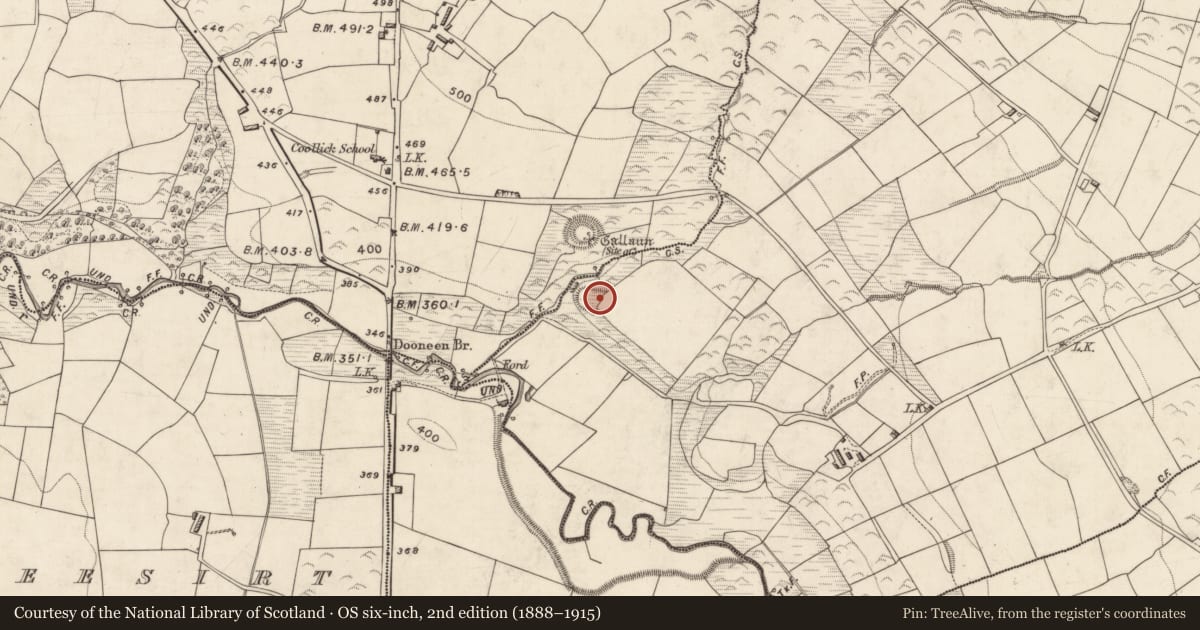 Ordnance Survey six-inch map, 2nd edition (1888–1915) covering the location of Standing stone, Buddaghauns, County Kerry, with a pin at the register's coordinates
