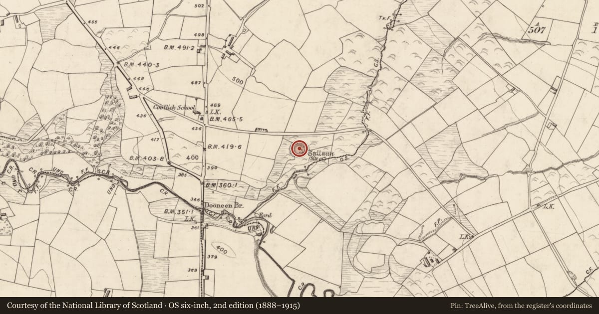 Ordnance Survey six-inch map, 2nd edition (1888–1915) covering the location of Ringfort - rath, Coollick (Magunihy By., Kilcummin Par.), County Kerry, with a pin at the register's coordinates