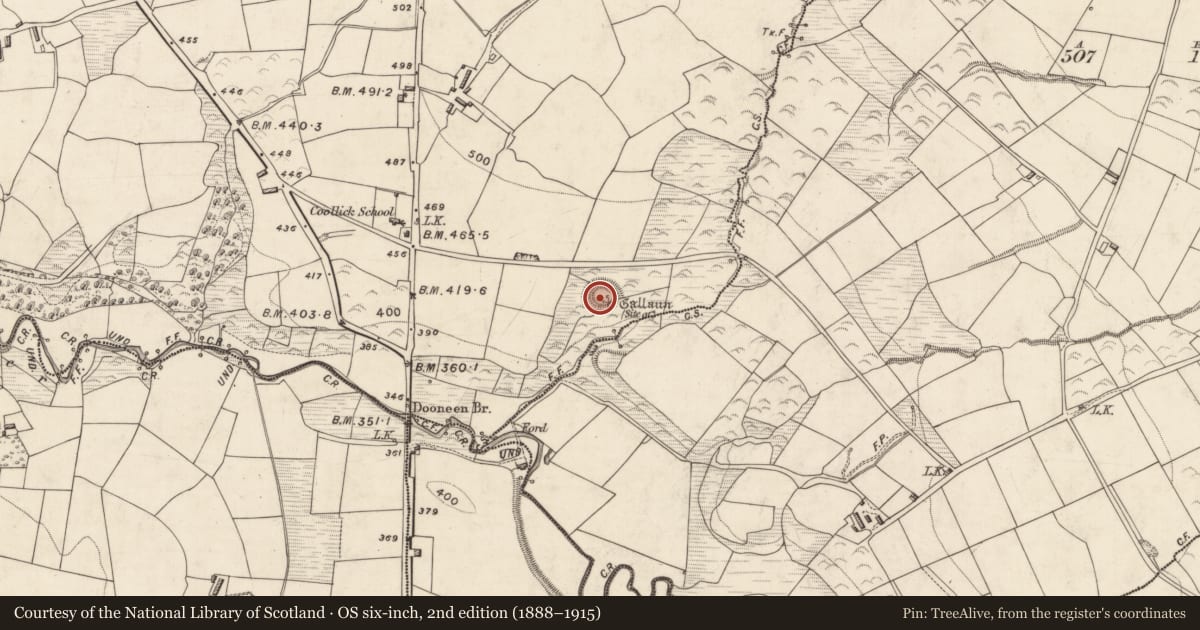 Ordnance Survey six-inch map, 2nd edition (1888–1915) covering the location of Hut site, Coollick (Magunihy By., Kilcummin Par.), County Kerry, with a pin at the register's coordinates