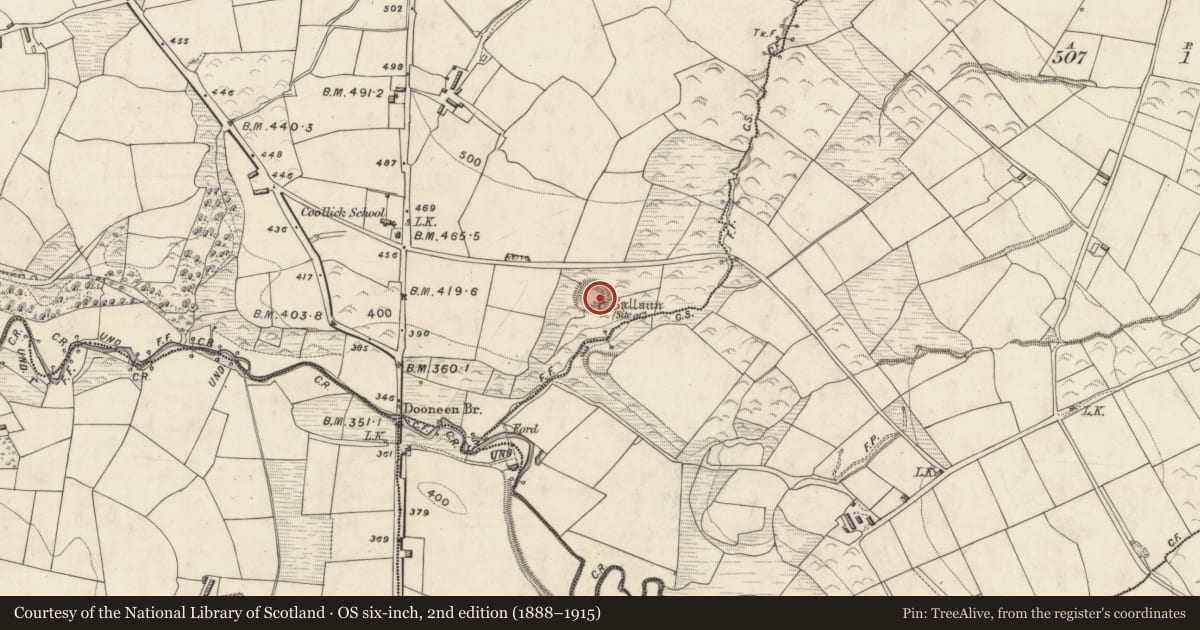 Ordnance Survey six-inch map, 2nd edition (1888–1915) covering the location of Hut site, Coollick (Magunihy By., Kilcummin Par.), County Kerry, with a pin at the register's coordinates