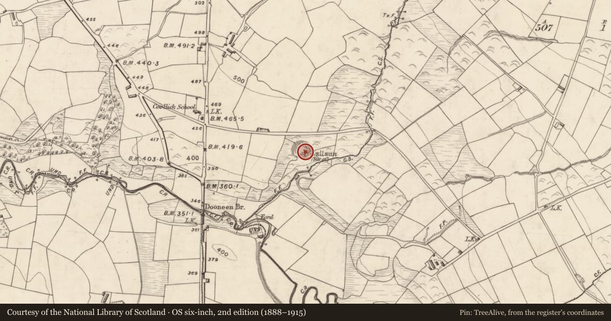 Ordnance Survey six-inch map, 2nd edition (1888–1915) covering the location of Standing stone, Coollick (Magunihy By., Kilcummin Par.), County Kerry, with a pin at the register's coordinates