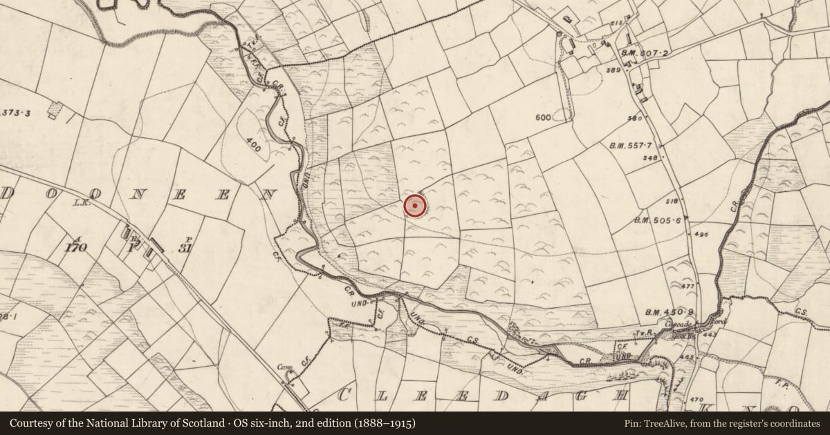 Ordnance Survey six-inch map, 2nd edition (1888–1915) covering the location of Ringfort - rath, Knockalibade, County Kerry, with a pin at the register's coordinates