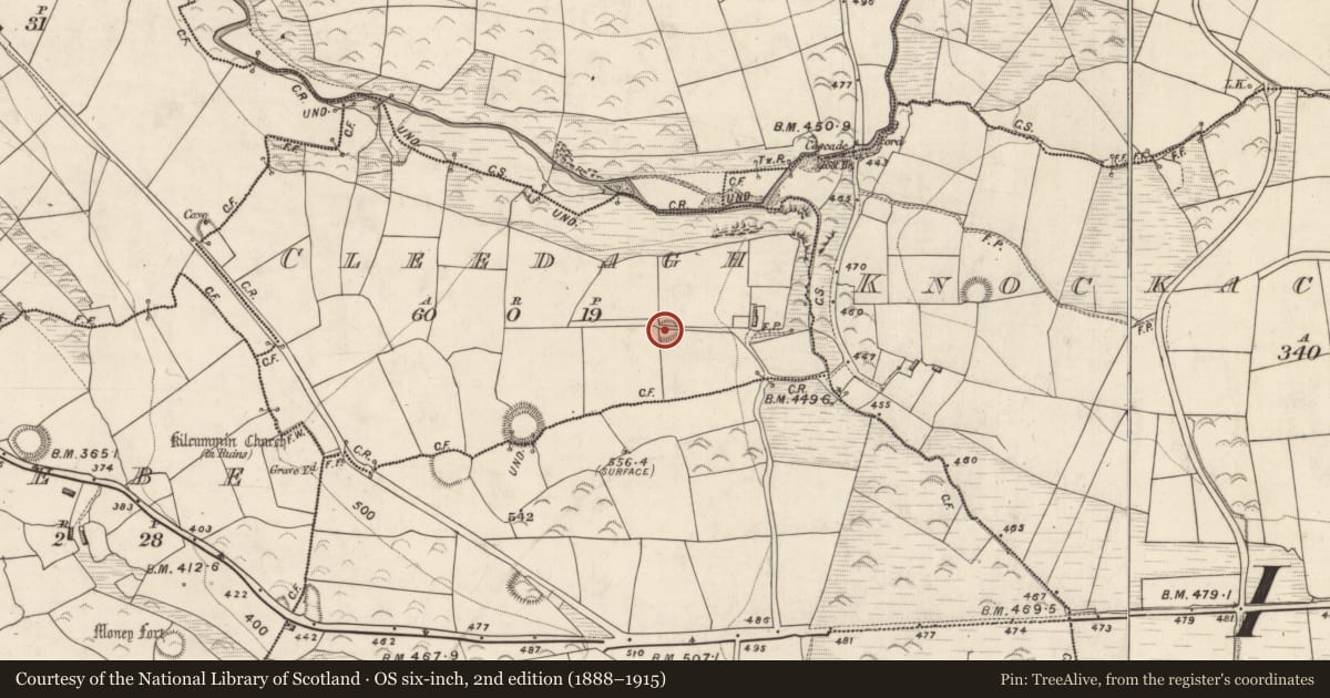 Ordnance Survey six-inch map, 2nd edition (1888–1915) covering the location of Souterrain, Cleedagh, County Kerry, with a pin at the register's coordinates