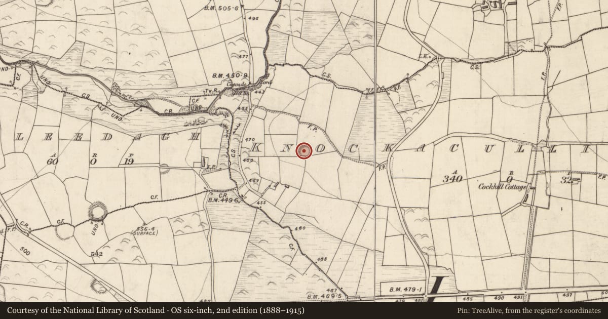 Ordnance Survey six-inch map, 2nd edition (1888–1915) covering the location of Ringfort - rath, Knockacullig South, County Kerry, with a pin at the register's coordinates