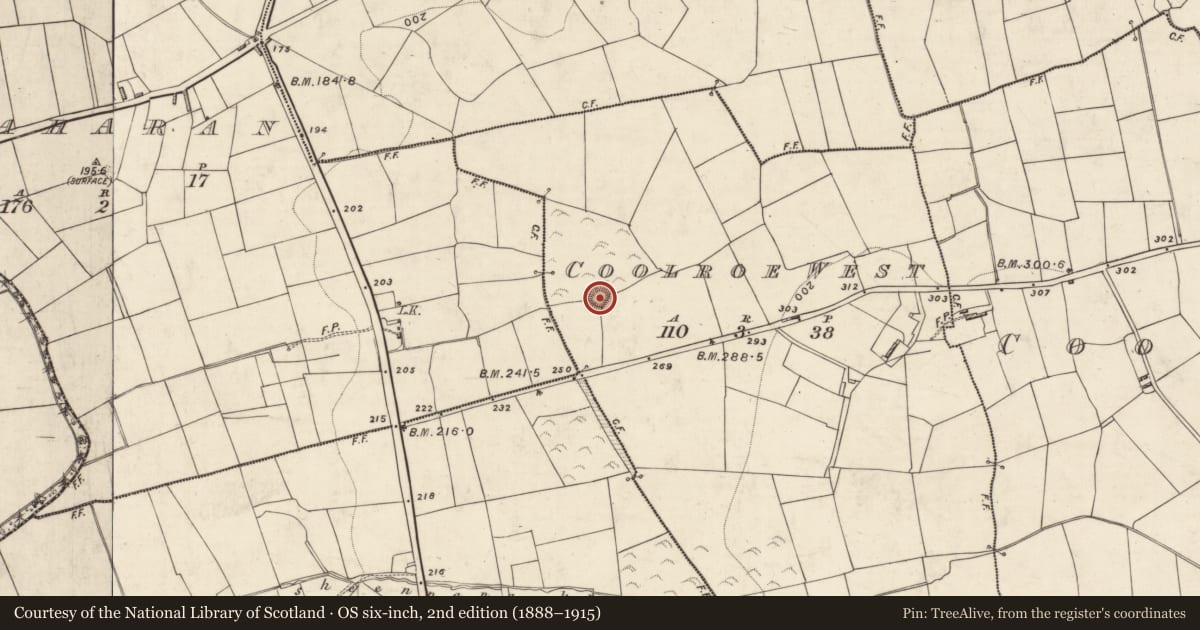 Ordnance Survey six-inch map, 2nd edition (1888–1915) covering the location of Ringfort - rath, Coolroe West, County Kerry, with a pin at the register's coordinates