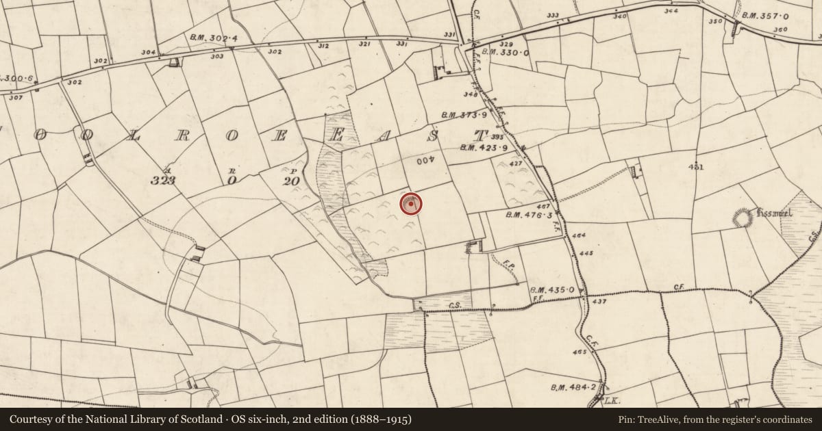 Ordnance Survey six-inch map, 2nd edition (1888–1915) covering the location of Ringfort - rath, Coolroe East, County Kerry, with a pin at the register's coordinates