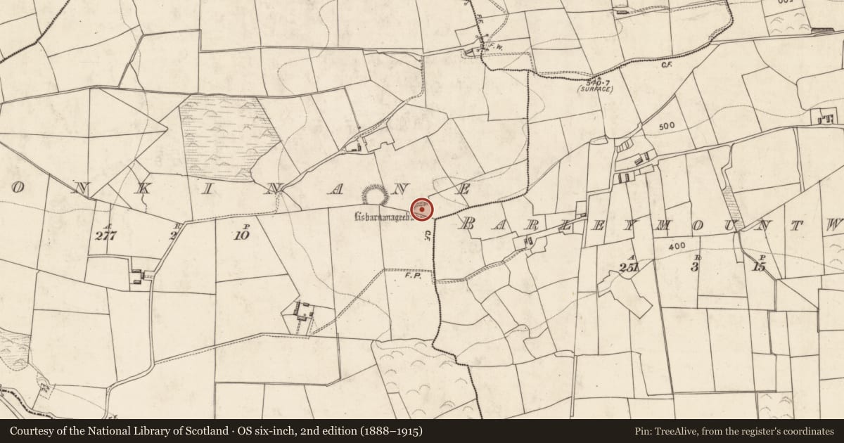 Ordnance Survey six-inch map, 2nd edition (1888–1915) covering the location of Ringfort - rath, Doonkinane, County Kerry, with a pin at the register's coordinates