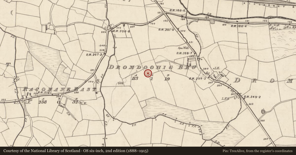Ordnance Survey six-inch map, 2nd edition (1888–1915) covering the location of Ringfort - rath, Dromdoohig Beg, County Kerry, with a pin at the register's coordinates