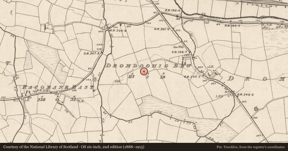 Ordnance Survey six-inch map, 2nd edition (1888–1915) covering the location of Souterrain, Dromdoohig Beg, County Kerry, with a pin at the register's coordinates