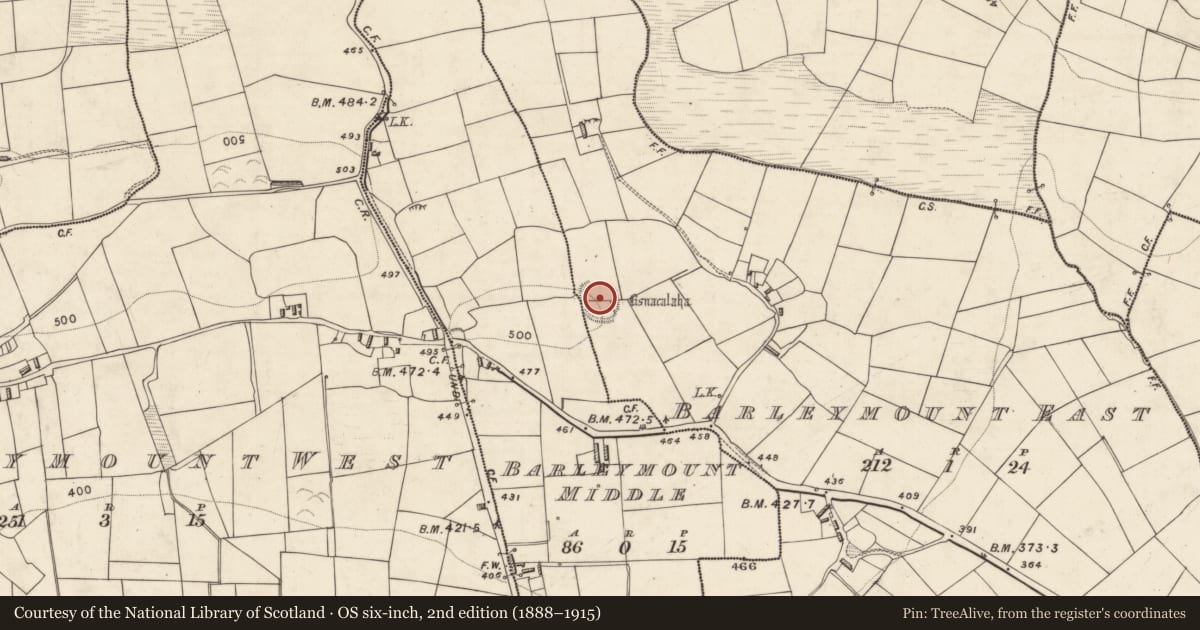 Ordnance Survey six-inch map, 2nd edition (1888–1915) covering the location of Ringfort - rath, Barleymount East, Barleymount Middle, County Kerry, with a pin at the register's coordinates
