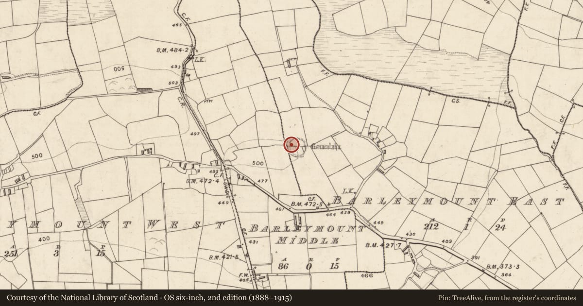 Ordnance Survey six-inch map, 2nd edition (1888–1915) covering the location of Souterrain, Barleymount East, County Kerry, with a pin at the register's coordinates