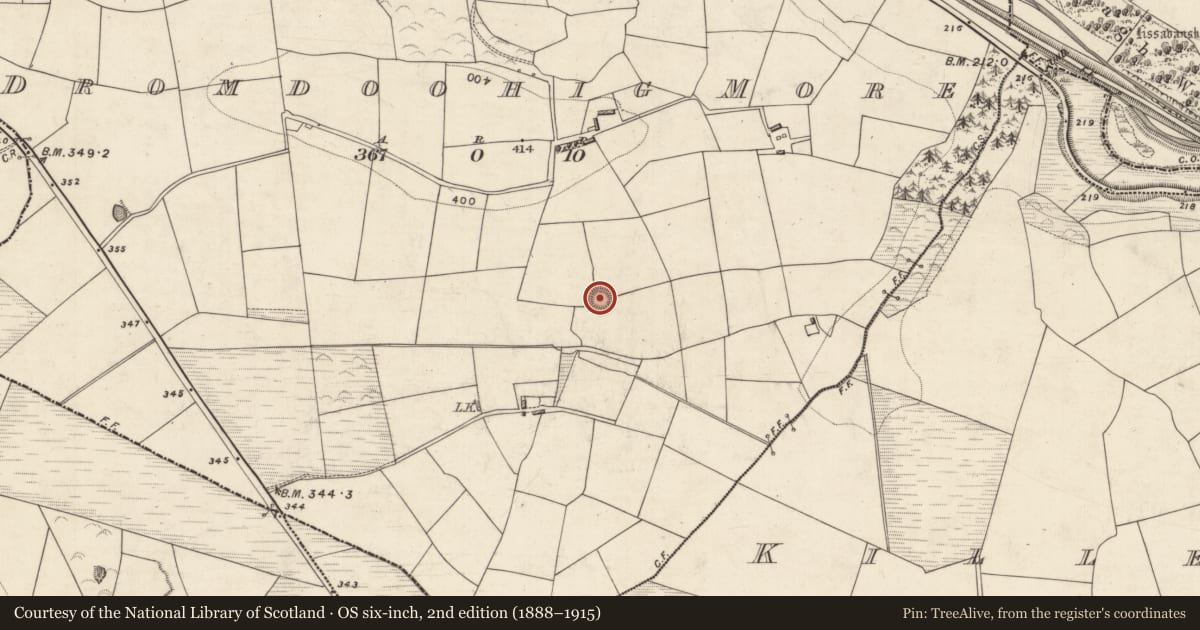 Ordnance Survey six-inch map, 2nd edition (1888–1915) covering the location of Ringfort - rath, Dromdoohig More, County Kerry, with a pin at the register's coordinates