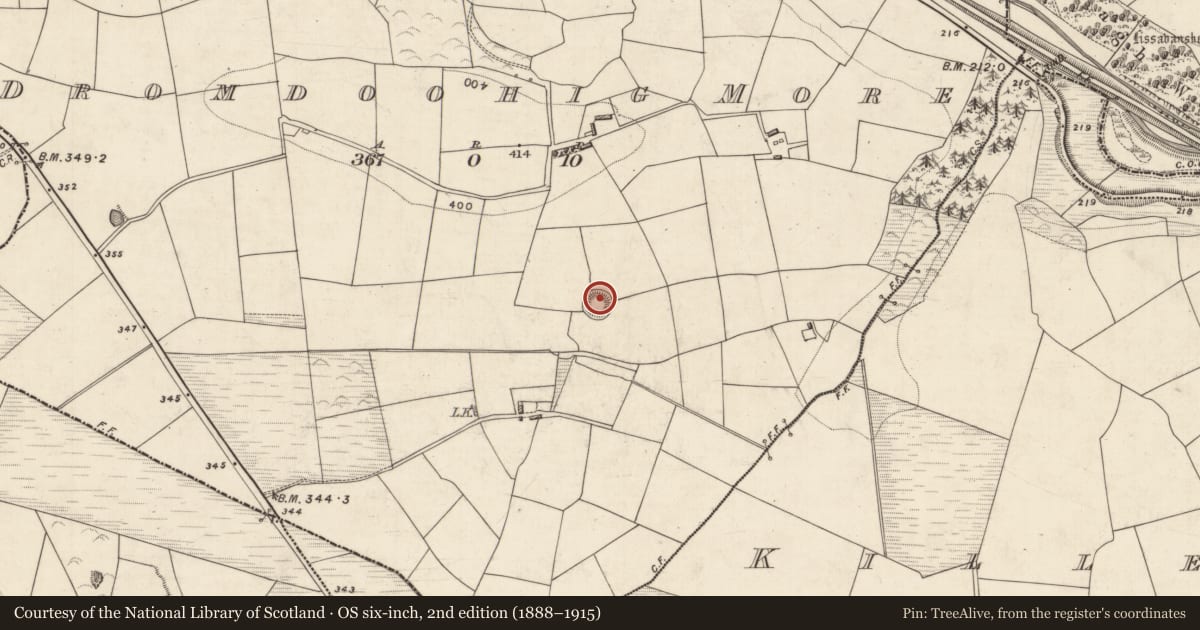 Ordnance Survey six-inch map, 2nd edition (1888–1915) covering the location of Hut site, Dromdoohig More, County Kerry, with a pin at the register's coordinates