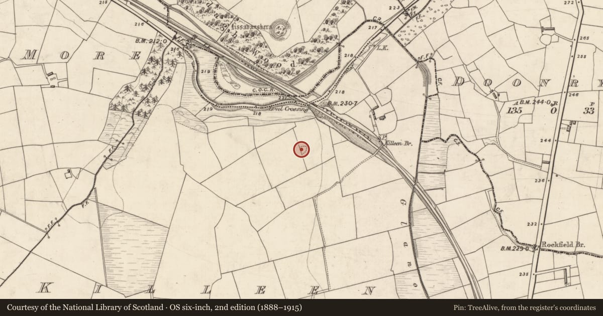 Ordnance Survey six-inch map, 2nd edition (1888–1915) covering the location of Children's burial ground, Killeen, County Kerry, with a pin at the register's coordinates