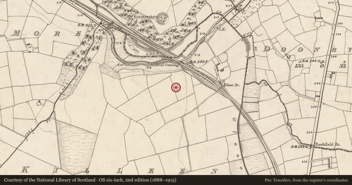 Ordnance Survey six-inch map, 2nd edition (1888–1915) covering the location of Church, Killeen, County Kerry, with a pin at the register's coordinates
