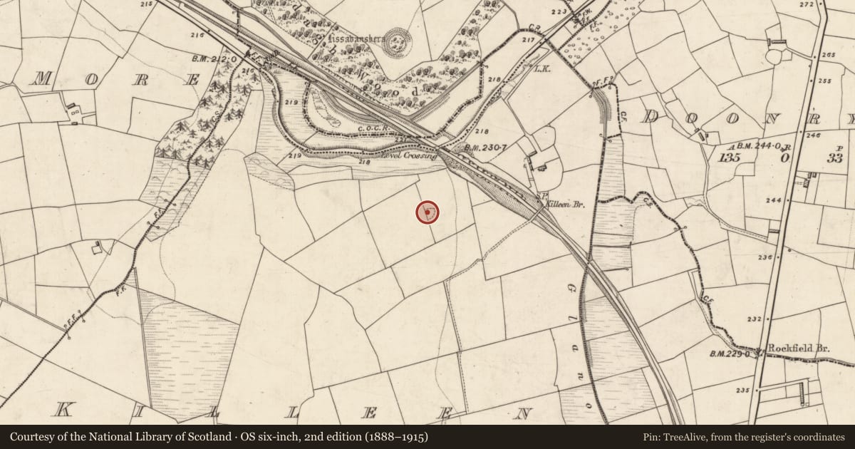 Ordnance Survey six-inch map, 2nd edition (1888–1915) covering the location of Ringfort - rath, Killeen, County Kerry, with a pin at the register's coordinates