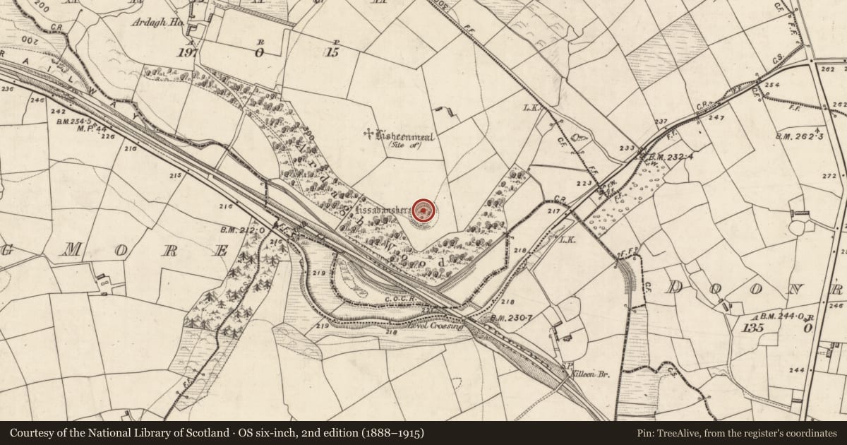 Ordnance Survey six-inch map, 2nd edition (1888–1915) covering the location of Ringfort - rath, Ardagh, County Kerry, with a pin at the register's coordinates