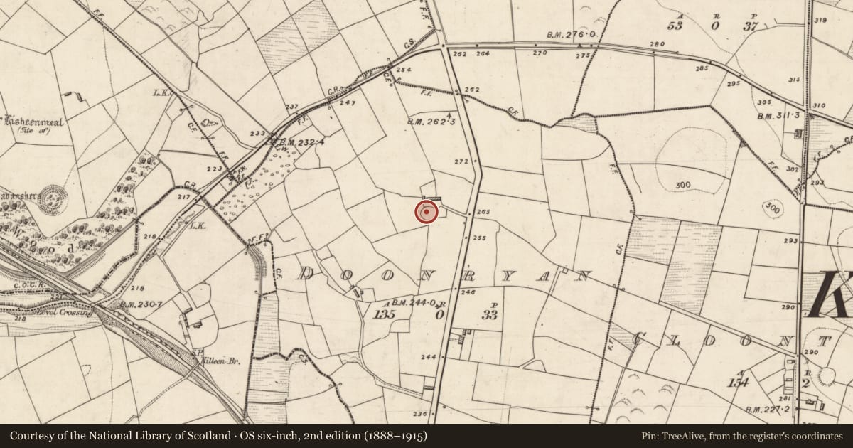Ordnance Survey six-inch map, 2nd edition (1888–1915) covering the location of Ringfort - rath, Doonryan, County Kerry, with a pin at the register's coordinates