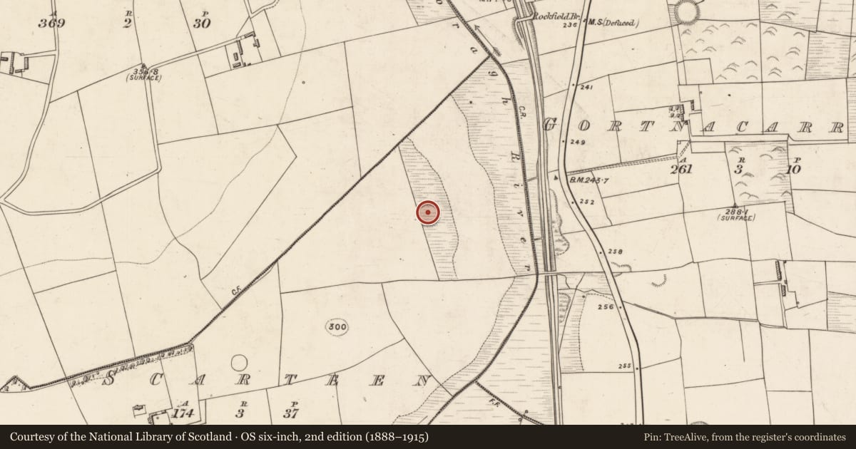 Ordnance Survey six-inch map, 2nd edition (1888–1915) covering the location of Ringfort - rath, Scarteen, County Kerry, with a pin at the register's coordinates