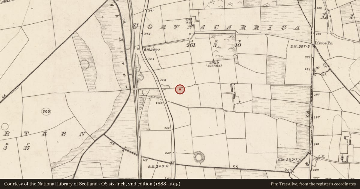 Ordnance Survey six-inch map, 2nd edition (1888–1915) covering the location of Ringfort - rath, Gortnacarriga, County Kerry, with a pin at the register's coordinates