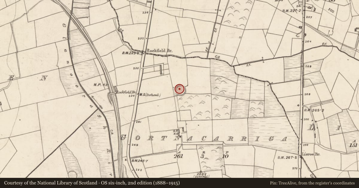 Ordnance Survey six-inch map, 2nd edition (1888–1915) covering the location of Ringfort - rath, Gortnacarriga, County Kerry, with a pin at the register's coordinates