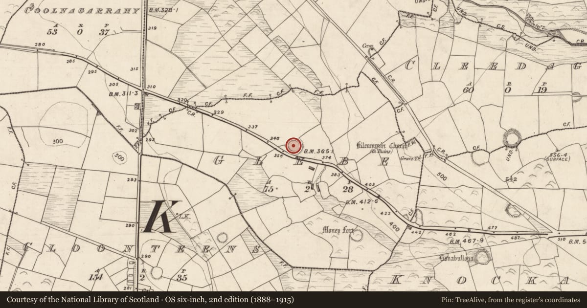 Ordnance Survey six-inch map, 2nd edition (1888–1915) covering the location of Ringfort - rath, Glebe, County Kerry, with a pin at the register's coordinates