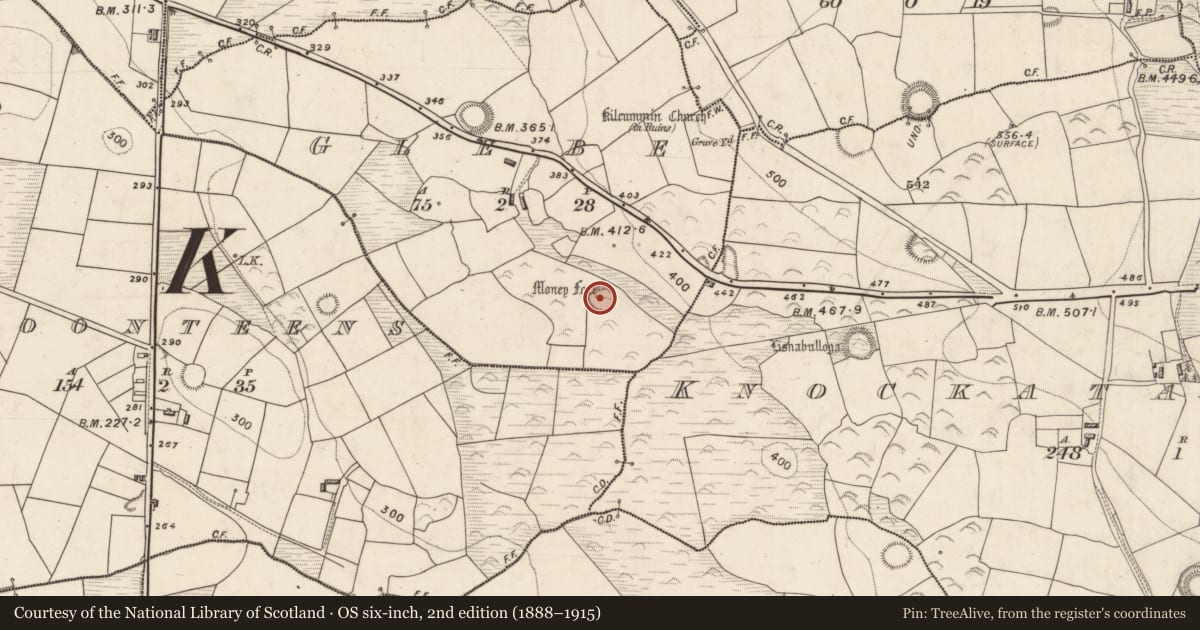 Ordnance Survey six-inch map, 2nd edition (1888–1915) covering the location of Ringfort - rath, Glebe, County Kerry, with a pin at the register's coordinates