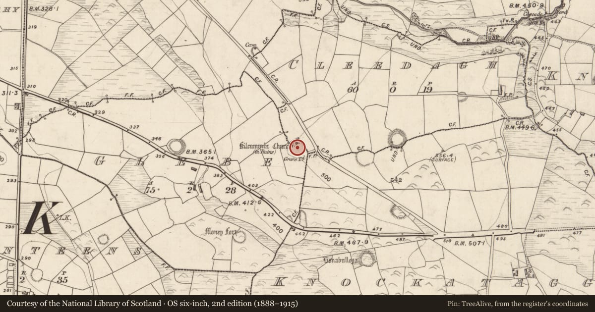 Ordnance Survey six-inch map, 2nd edition (1888–1915) covering the location of Church, Glebe, County Kerry, with a pin at the register's coordinates