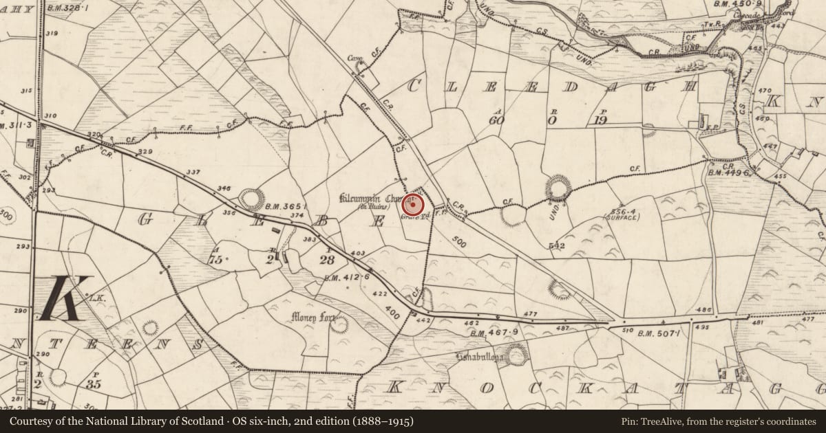 Ordnance Survey six-inch map, 2nd edition (1888–1915) covering the location of Graveyard, Glebe, County Kerry, with a pin at the register's coordinates