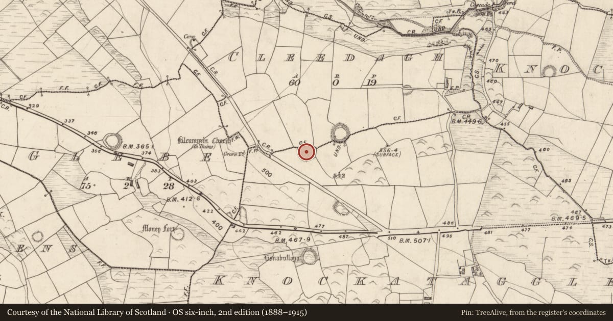 Ordnance Survey six-inch map, 2nd edition (1888–1915) covering the location of Ringfort - rath, Cleedagh, Knockataggle Beg, County Kerry, with a pin at the register's coordinates