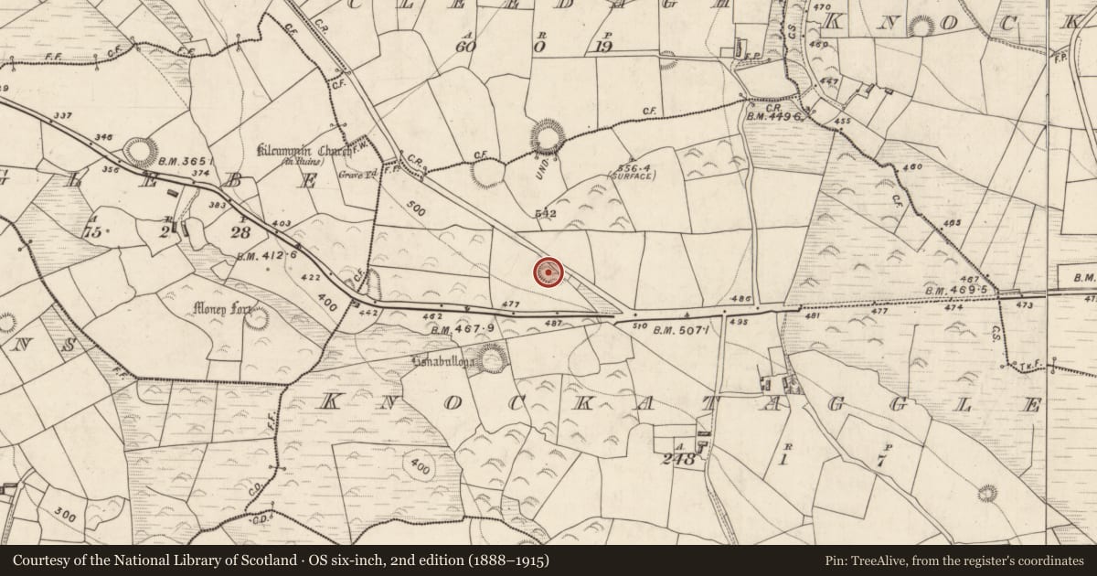 Ordnance Survey six-inch map, 2nd edition (1888–1915) covering the location of Ringfort - rath, Knockataggle Beg, County Kerry, with a pin at the register's coordinates