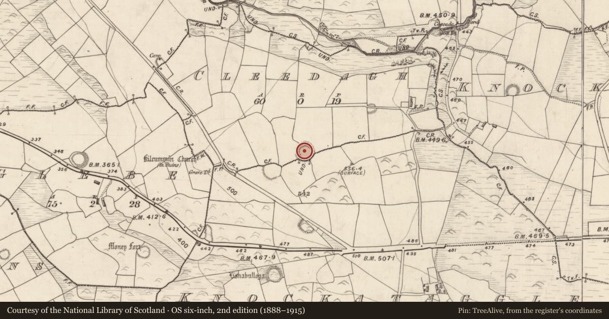 Ordnance Survey six-inch map, 2nd edition (1888–1915) covering the location of Ringfort - rath, Cleedagh, Knockataggle Beg, County Kerry, with a pin at the register's coordinates