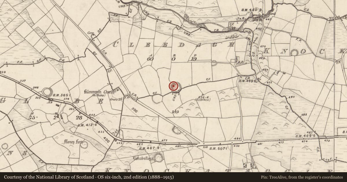 Ordnance Survey six-inch map, 2nd edition (1888–1915) covering the location of Souterrain, Cleedagh, Knockataggle Beg, County Kerry, with a pin at the register's coordinates