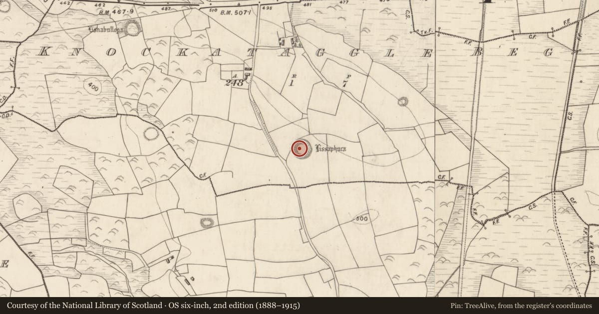 Ordnance Survey six-inch map, 2nd edition (1888–1915) covering the location of Ringfort - rath, Knockataggle Beg, County Kerry, with a pin at the register's coordinates