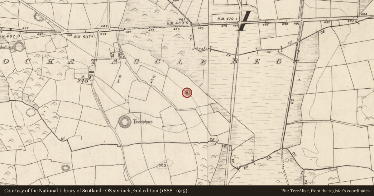 Ordnance Survey six-inch map, 2nd edition (1888–1915) covering the location of Ringfort - rath, Knockataggle Beg, County Kerry, with a pin at the register's coordinates