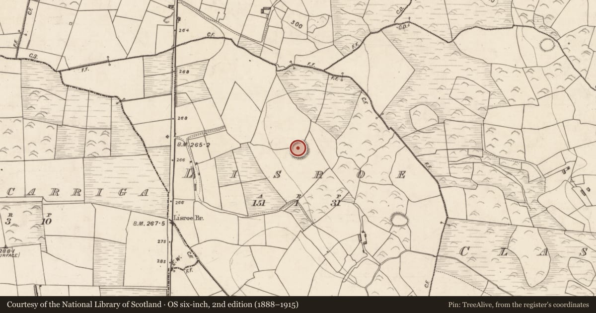 Ordnance Survey six-inch map, 2nd edition (1888–1915) covering the location of Ringfort - rath, Lisroe, County Kerry, with a pin at the register's coordinates