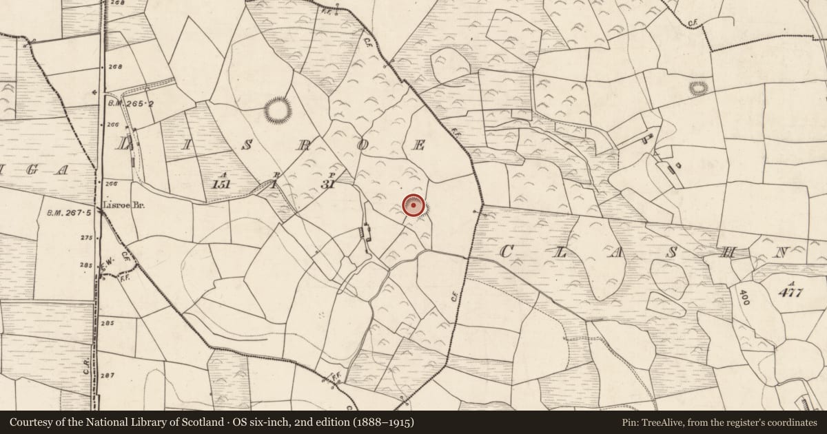 Ordnance Survey six-inch map, 2nd edition (1888–1915) covering the location of Ringfort - rath, Lisroe, County Kerry, with a pin at the register's coordinates