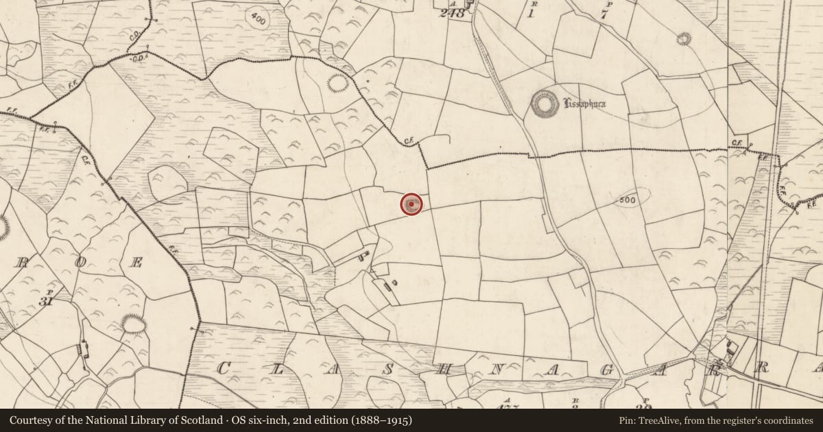 Ordnance Survey six-inch map, 2nd edition (1888–1915) covering the location of Ringfort - rath, Clashnagarrane, County Kerry, with a pin at the register's coordinates
