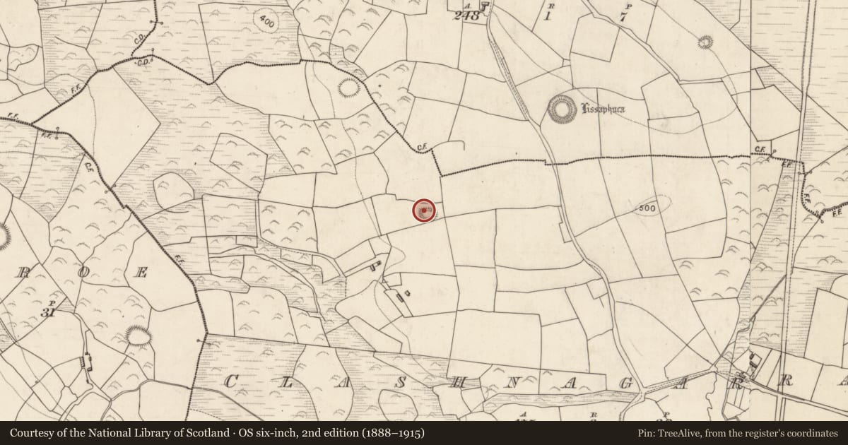 Ordnance Survey six-inch map, 2nd edition (1888–1915) covering the location of Souterrain, Clashnagarrane, County Kerry, with a pin at the register's coordinates