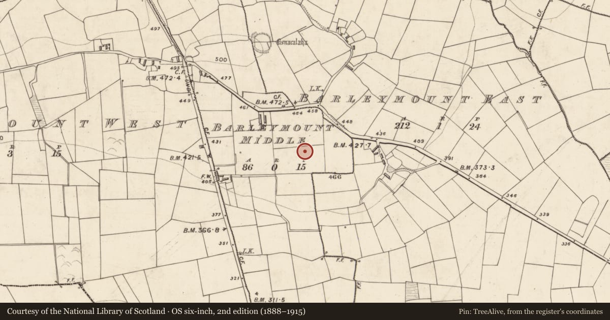 Ordnance Survey six-inch map, 2nd edition (1888–1915) covering the location of Ringfort - rath, Barleymount Middle, County Kerry, with a pin at the register's coordinates