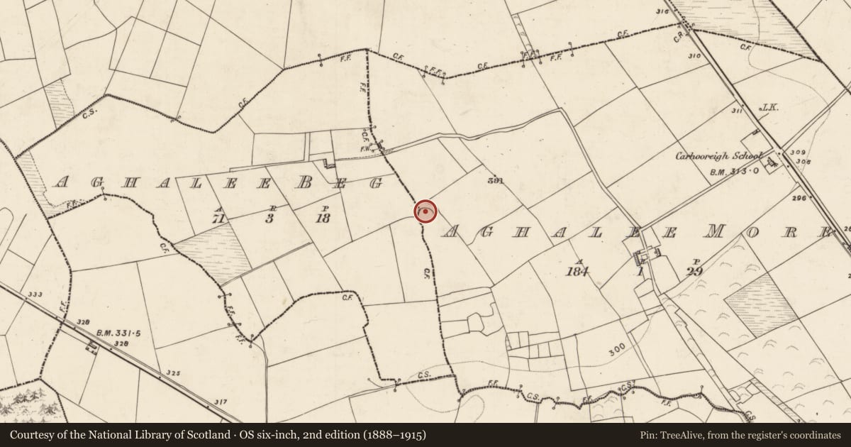 Ordnance Survey six-inch map, 2nd edition (1888–1915) covering the location of Ringfort - rath, Aghalee Beg, Aghalee More, County Kerry, with a pin at the register's coordinates
