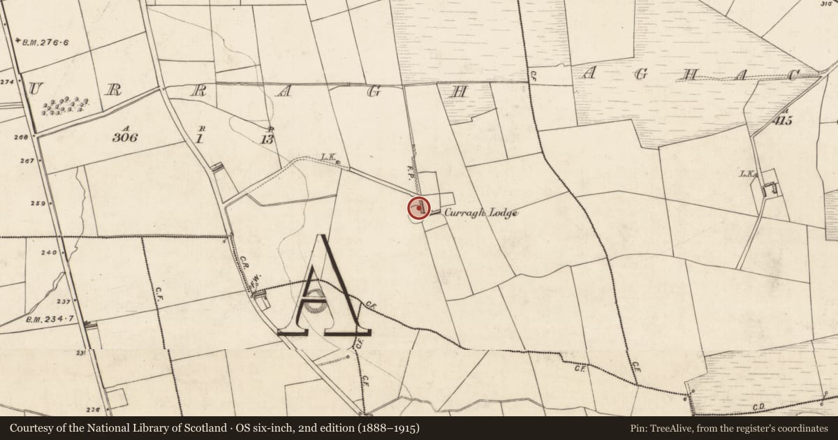 Ordnance Survey six-inch map, 2nd edition (1888–1915) covering the location of Ringfort - rath, Curragh, County Kerry, with a pin at the register's coordinates